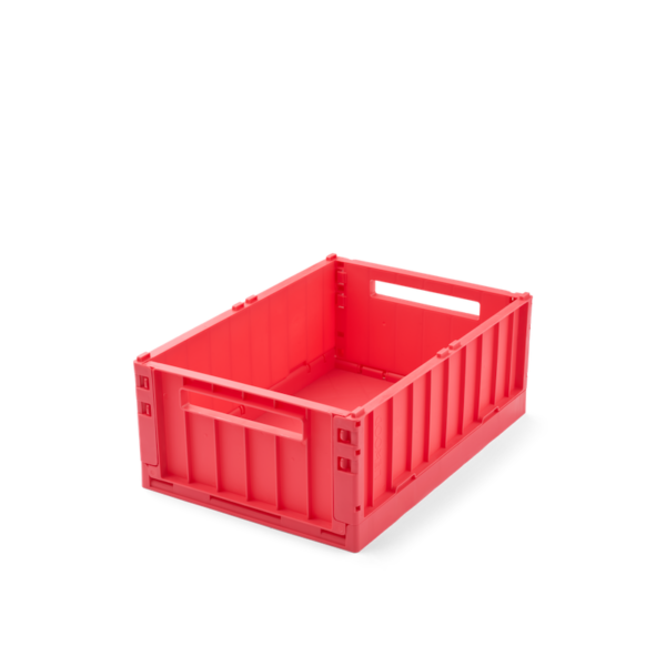 weston storage box watermelon