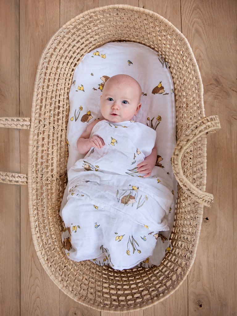 hedgehog swaddle