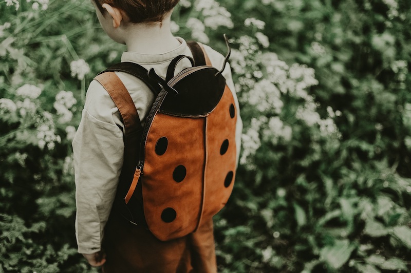 ladybird rucksack