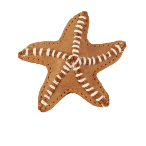 hairlip starfish donsje
