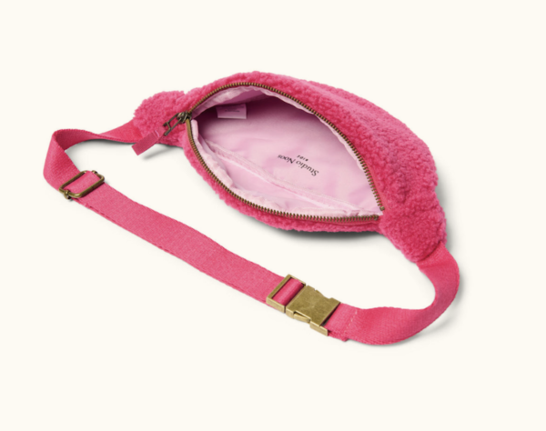 Pink Teddy Mini Fannypack