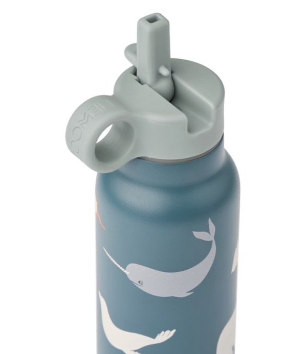 bottle falk ocean sea