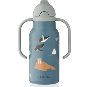 kimmie bottle arctic sea ocean view