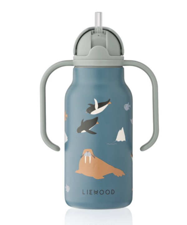 Kimmie Water Bottle 250ml - Arctic Sea/Ocean View